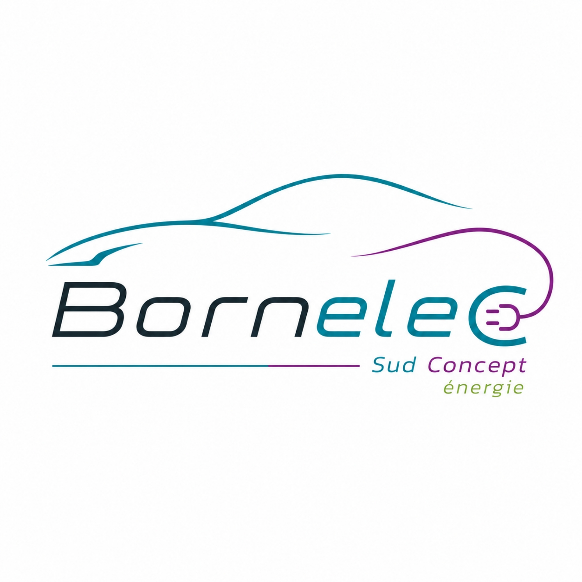 LOGO BORNELEC